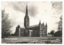 AB1521 Salisbury - Cathedral / Non Viaggiata - Salisbury