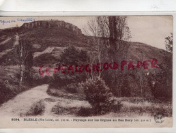 43-  BLESLE - PAYSAGE SUR LES ORGUES AU BAS BORY - Blesle