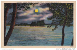 New York Historic Squaw Island By Moonlight On Canandaigua Lake - Catskills