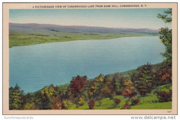 New York Canandaigua Lake From Bare Hill - Catskills