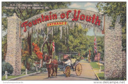 Florida St Augustine Entrance Drive To Fountain Of Youth Curteich - St Augustine