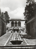 Delcampe - CAPRAROLA - VILLA FARNESE CATENA DEI DELFINI - VERA FOTO - F.G. - Viterbo