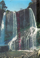 43- CASCADE DE LA BAUME - ENTRE LE BRIGNON ET SOLIGNAC SUR LOIRE - Sonstige & Ohne Zuordnung