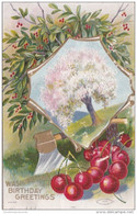 George Washington Birthday Greetings With Cherry Tree 1910 - Presidentes