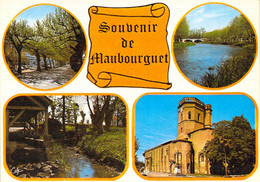 65  - Souvenir De MAUBOURGUET - Multivues. - Maubourguet