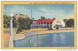 Florida Clearwater Municipal Auditorium From Causeway 1950 Curteich - Clearwater