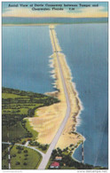 Florida Clearwater Aerial View Of Davis Causeway 1955 - Clearwater