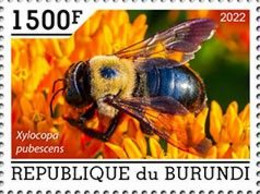 BURUNDI 2022 - Bees III, 1v. Official Issue [BUR2201073a] - Honeybees