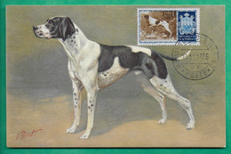 CARTE MAXIMUM MAX CARD CHIEN DOG POINTER SAINT MARIN SAN MARINO 1 LIRE 1956 - Briefe U. Dokumente