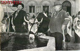 BARJOLS FETES DE LA SAINT-MARCEL BOEUF A L'ABREUVOIR 83 VAR - Barjols