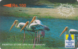 Télécarte GPT SRI LANKA - ANIMAL - OISEAU CIGOGNE PEINTE - PAINTED STORK BIRD Phonecard - STORCH - 5727 - Sri Lanka (Ceylon)