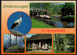 F5978 - TOP Trachten Spreewald - Verlag Bild Und Heimat Reichenbach Qualitätskarte - Luebbenau