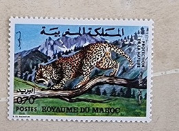 MAROC Félins, Felin, PANTHERE  Yvert N°714  Neuf Sans Charniere. MNH - Big Cats (cats Of Prey)