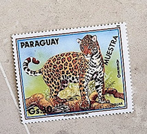 PARAGUAY Félins, Felin, JAGUAR 1 Valeur. Neuf Sans Charniere. MNH Surchargé MUESTRA - Roofkatten