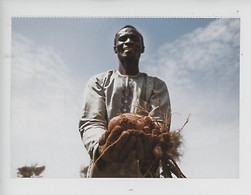 Afrique : Niger, Un Agriculteur Heureux Récolte Le Fruit De Sa Terre (métier) Cp Vierge - Niger