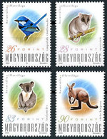 Hongrie Hungary Ungarn 2000 Kangourou, Opossum Koala, Kangaroo (Michel 4591, Scott 3693) - Ohne Zuordnung