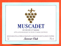 Etiquette Neuve De Vin Muscadet De Sèvre Et Maine Savour Club à Lancié - 75 Cl - Vin De Pays D'Oc