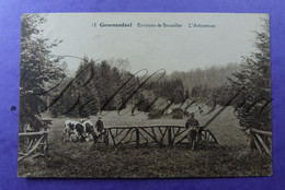 Hoeilaart Arboretum Bomentuin Groenendaal Groenendael. 1929- N °18 - Höilaart
