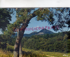 43- ISSINGEAUX - SUCS DE LA GRANDE ET LA PETITE MEZERE -ROUTE DE PERTUIS A SAINT JULIEN CHAPTEUIL-HAUTE LOIRE - Autres & Non Classés