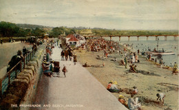 DEVON M-T PAIGNTON  - THE PROMENADE AND BEACH Dv1624 - Paignton