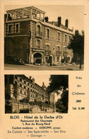 Blois * Hôtel De La Gerbe D'or * 1 Rue Du Bourg Neuf * DEBOMY Propriétaire * Cpa 2 Vues Pub Publicité - Blois