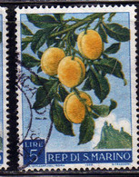 REPUBBLICA DI SAN MARINO 1958 FRUTTA E PRODOTTI AGRICOLI PRUGNE LIRE 5  USATO USED OBLITERE' - Usati