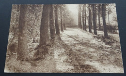 Rouge-Cloître - Chemin Des Etangs - Oudergem - Auderghem