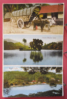 Sri Lanka - Ceylan - Kandy Lake - Double Bullock Cart - R/verso - Sri Lanka (Ceylon)