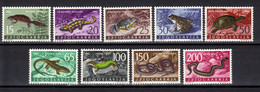 Yugoslavia,Fauna-Reptiles And Amphibians 1962.,MNH - Unused Stamps