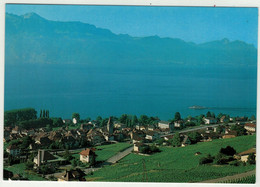 Suisse// Schweiz // Vaud // Cully - Cully