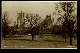 Ely From The Park Judges - Ely