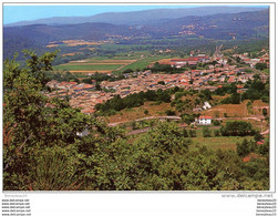 CP (Réf :N774) VIDAUBAN  (83 VAR) Pittoresque Village Provençal - Vidauban