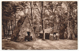 CPA - Les Noés, Par RENAISON (Loire) - Chantiers De La Jeunesse Groupement N°21 - Camp De Huttes Forêt De L'Assise - Other & Unclassified