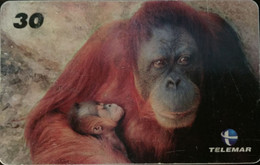 Phone Card Manufactured By Telemar In 1999 - Baby Zoo Series - Orangotango - Collezioni