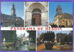 Carte Postale 62. Hesdin  Panorama  Très Beau Plan - Hesdin