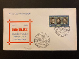 LETTRE LUXEMBOURG TP BENELUX 3F OBL.12-10 64 LUXEMBOURG - Case Reali