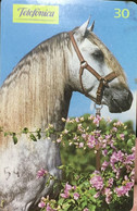 Phone Card Manufactured By Brasil Telefonica In 1999 Special Series Horses - This Card Depicts The Andaluz Horse - Caballos