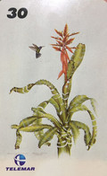 Phone Card Manufactured By Telemar In 2000 - Series Botanical Illustrations - Bromeliad - Aechmea Chantinii - Fleurs