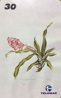 Phone Card Manufactured By Telemar In 2000 - Series Botanical Illustrations - Bromeliad - Billbergia Pyramidalis - Peinture