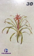 Phone Card Special Series Botanical Illustrations - Bromeliad - Gusmania Lungulata - Collezioni