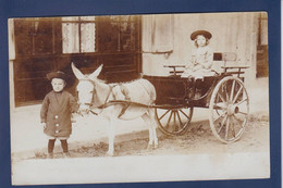 CPA Ane Carte Photo Non Circulé Attelage Voir Dos - Anes