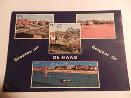 Delcampe - Oude Postkaart Van Belgie    --   De Haan - De Haan