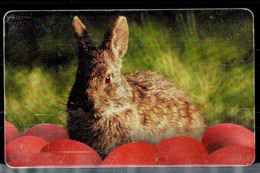 ROMANIA 1999 PHONECARD RABBITS USED VF!! - Rabbits