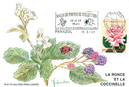 87 - PANAZOL - 12° SALON Du PAPIER - LE CEPES  - 2000 - CP - TRES BON ETAT - Panazol