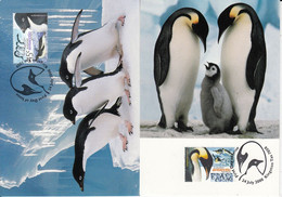 AAT 2000 Penguins 2v 2 Maxicards (AAT173) - Cartes-maximum