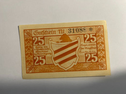 Allemagne Notgeld Hoyn 25 Pfennig - Colecciones