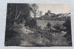 Cpm, La Roche Maurice, Le Bois Du Pontois Et Le Château, Finistère 29 - La Roche-Maurice