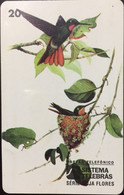 Phone Card Manufactured By Telebras In The Early 1990s - Series Beija-Flores - Arenden & Roofvogels