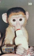 Phone Card Manufactured By Telebras On 09031998 - Series Puppies - Green Monkey Pup - Jungle