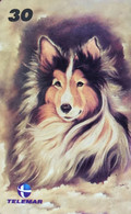 Phone Card Manufactured By Telemar In 2000 - Representation Of Painting On Canvas With The Name Collie Made By The D - Chiens